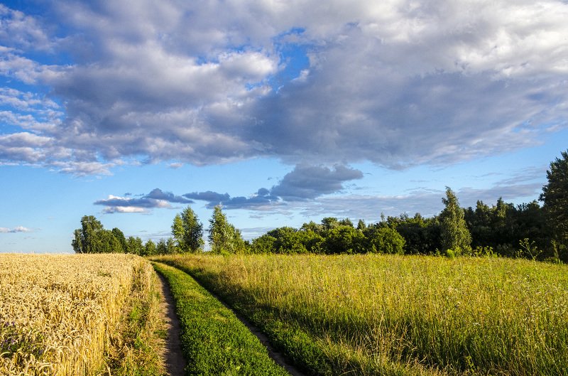 Полевые дороги фото превью