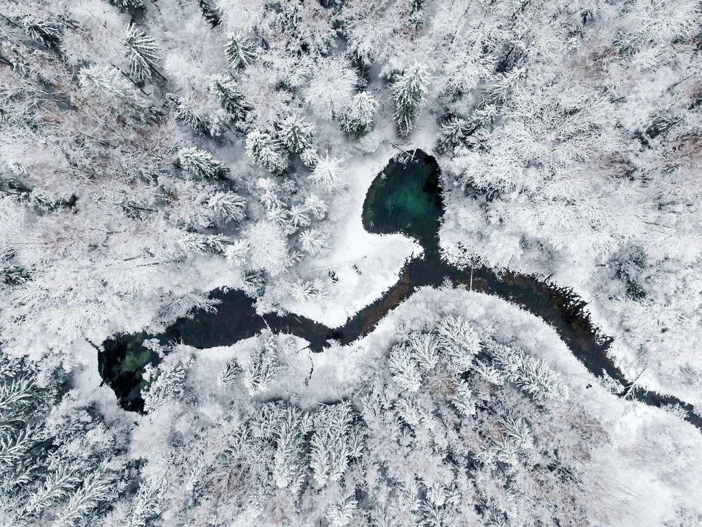 , Александр Абросимов