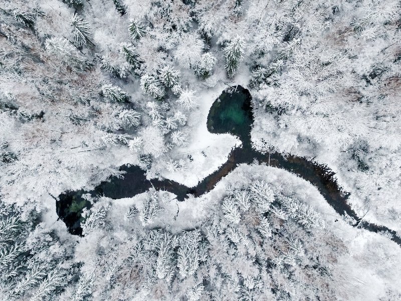 Зимняя сказка. фото превью