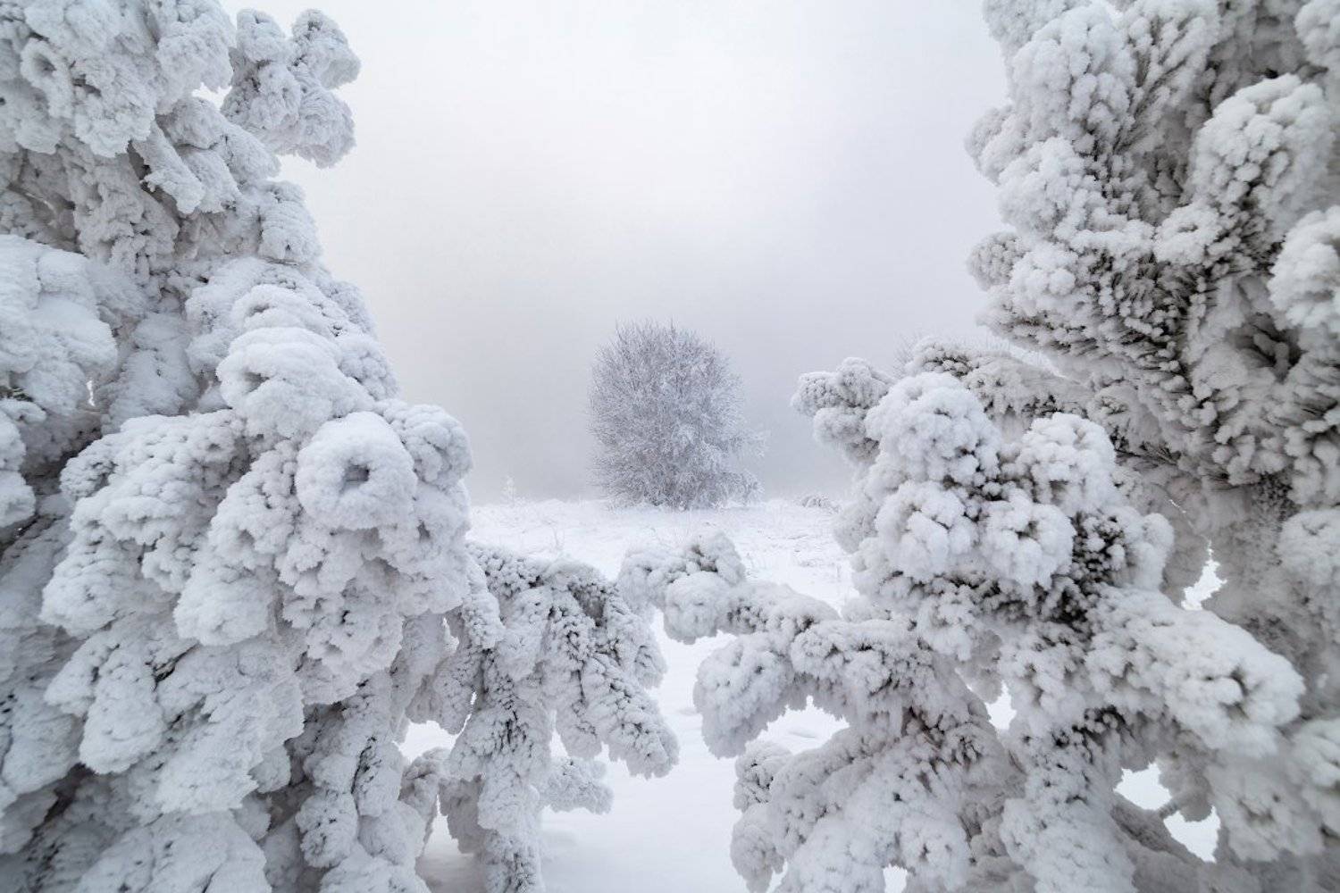 , Илья Буянов