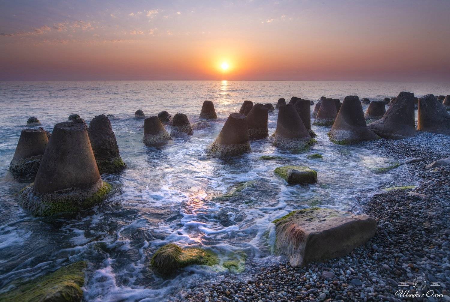 , Ольга Шацкая