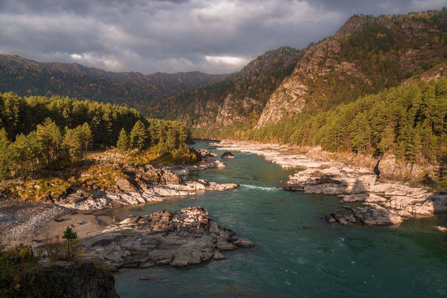 россия, горный алтай, река катунь, осень, утро, Андрей Поляков