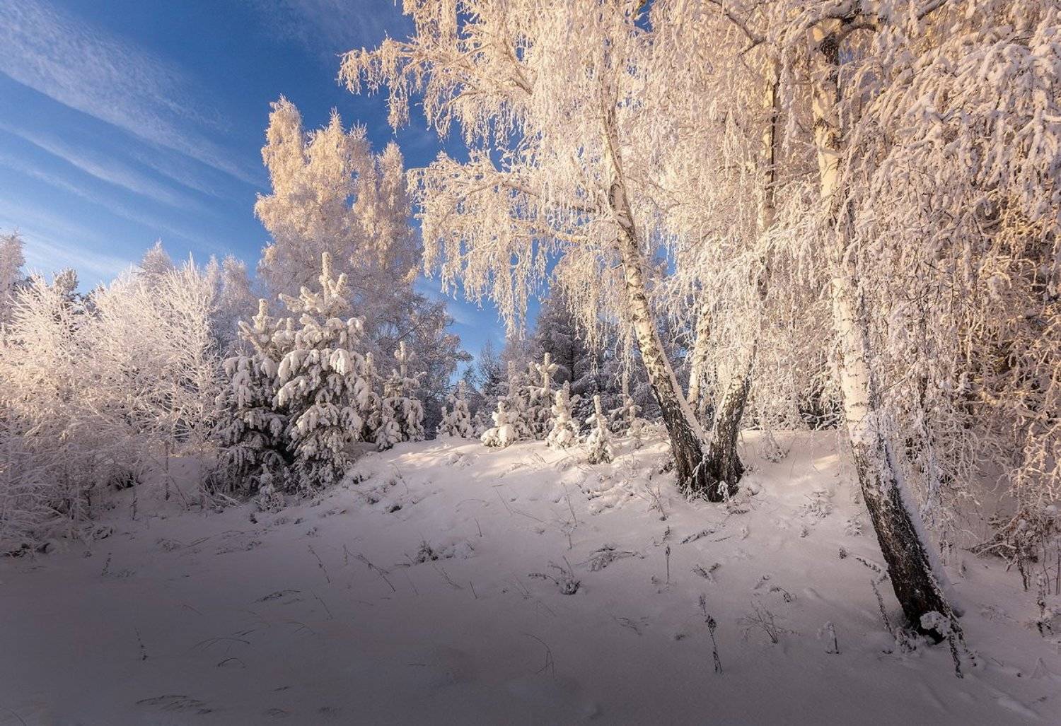 , Алексей Трофимов