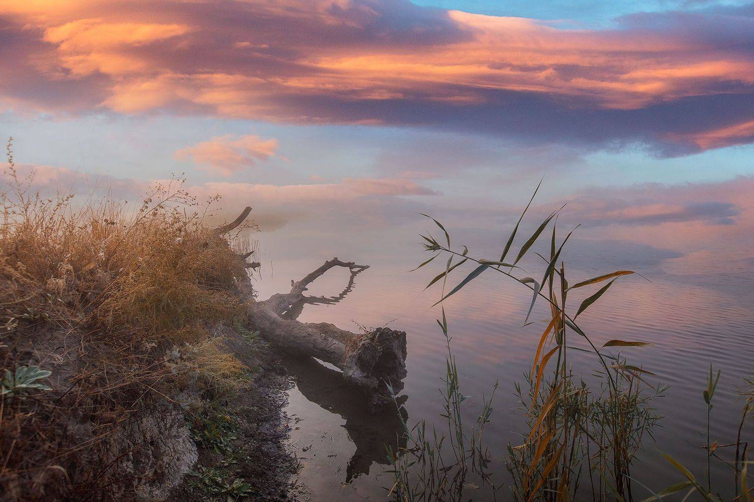 , Александр Костенко