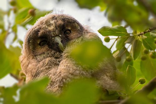 взгляд сверху..
