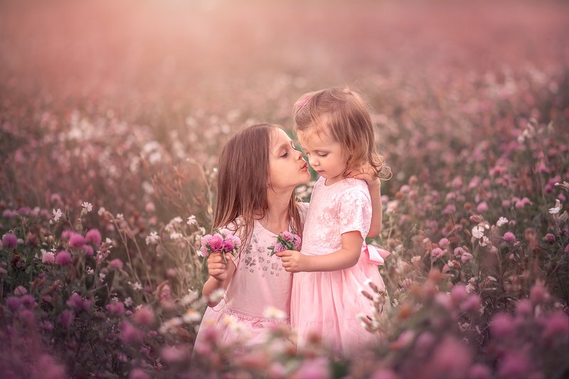 Розовая сказка фото превью