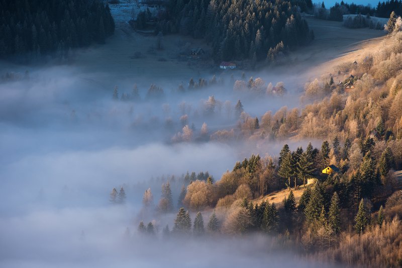Calm morning фото превью