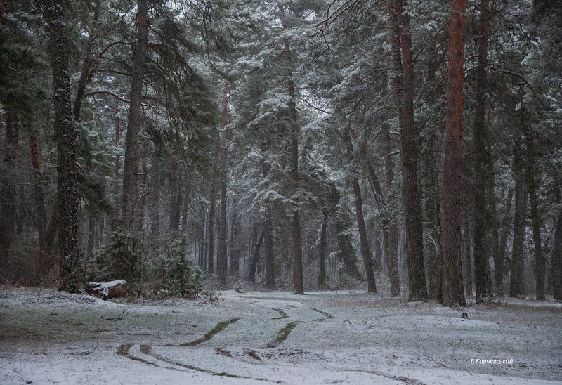 Зима.Январь.... фото превью