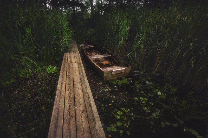 питер, луга, пейзаж Укромное местечко. . . фото превью