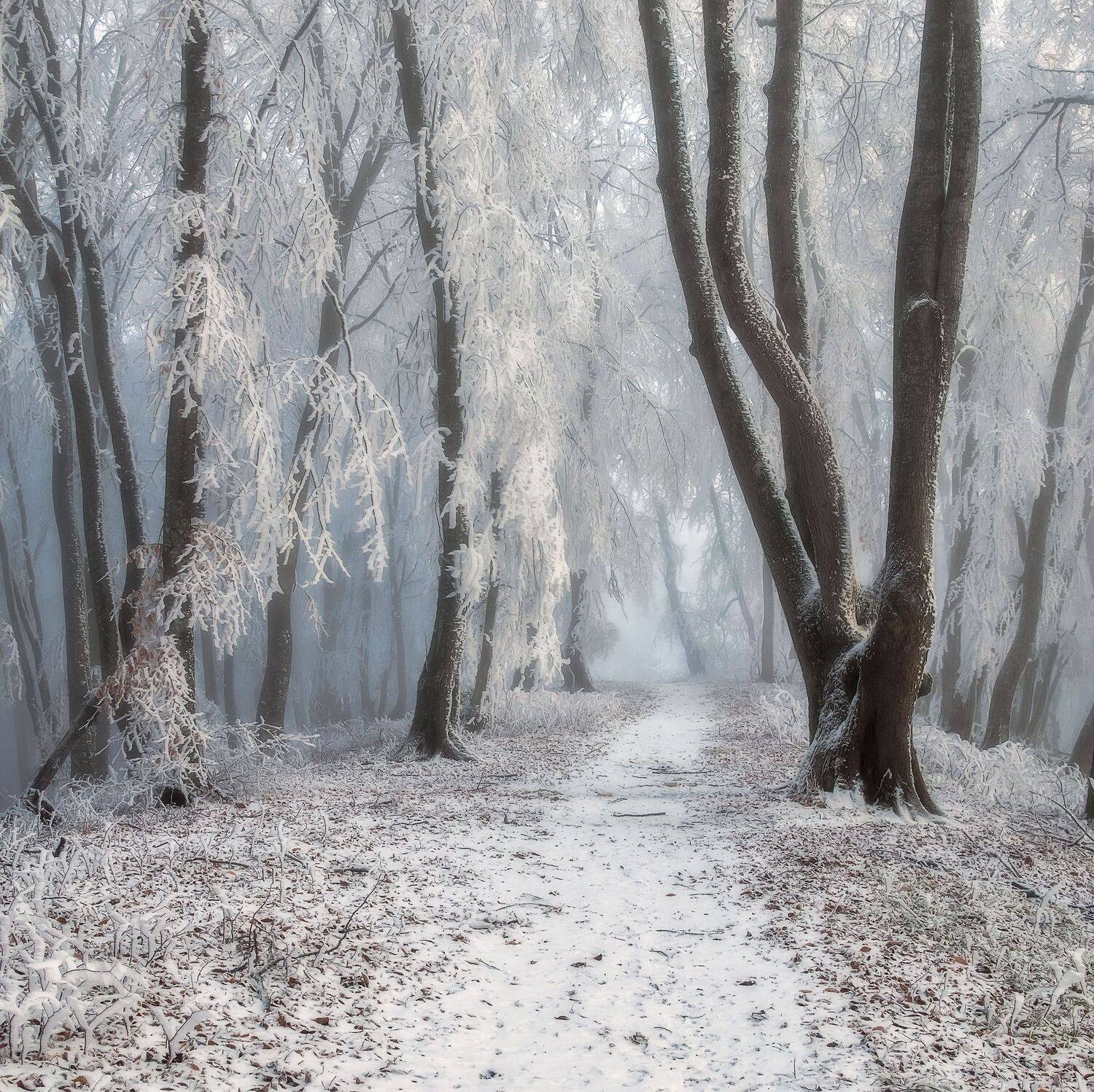 , Шевченко Юрий