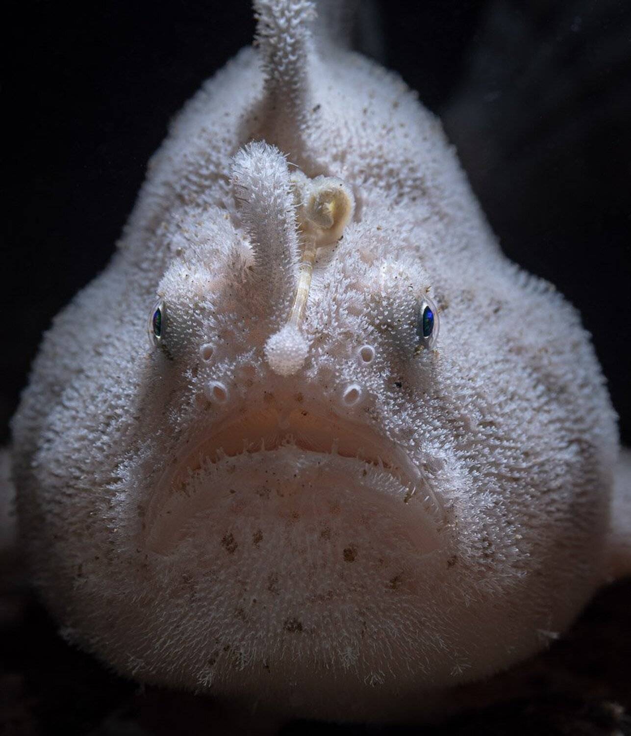 , Андрей Савин