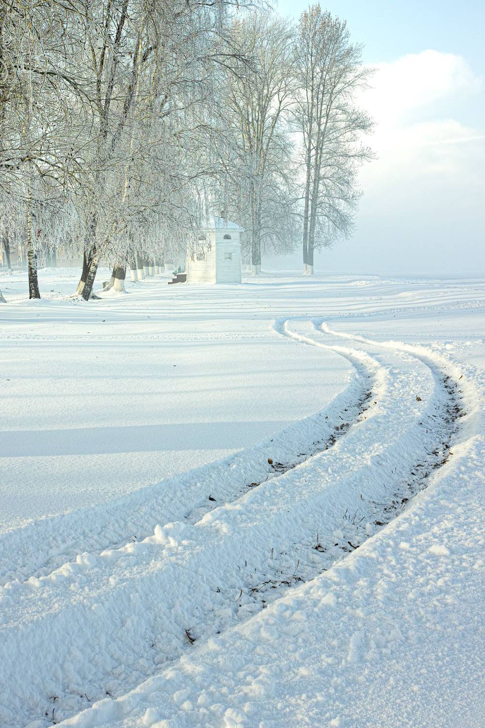 , Лариса Лофицкая