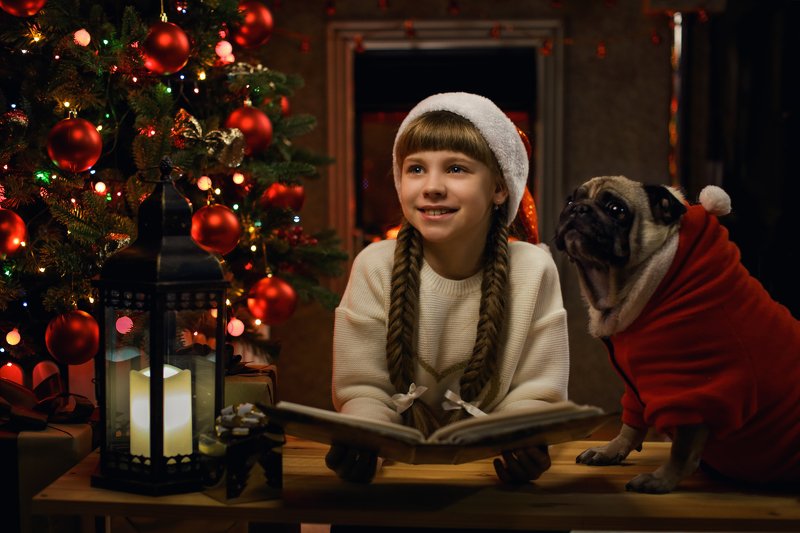 Рождественская идиллия фото превью