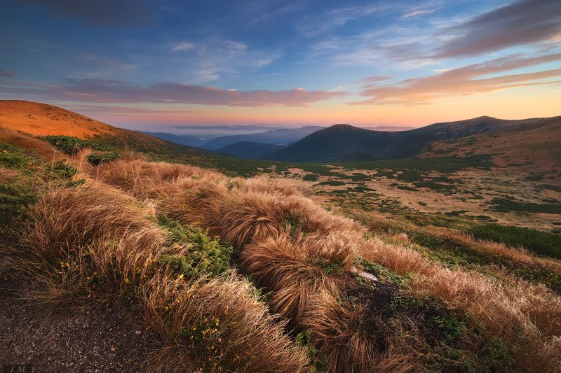 горы, карпаты, черногора, украина, пейзаж, утро, рассвет, осень, carpathians, mountains, morning, autumn, travel, ukraine, fog, landscape, fall, sunrise, colors Осеннее утро на Черногорском хребте фото превью
