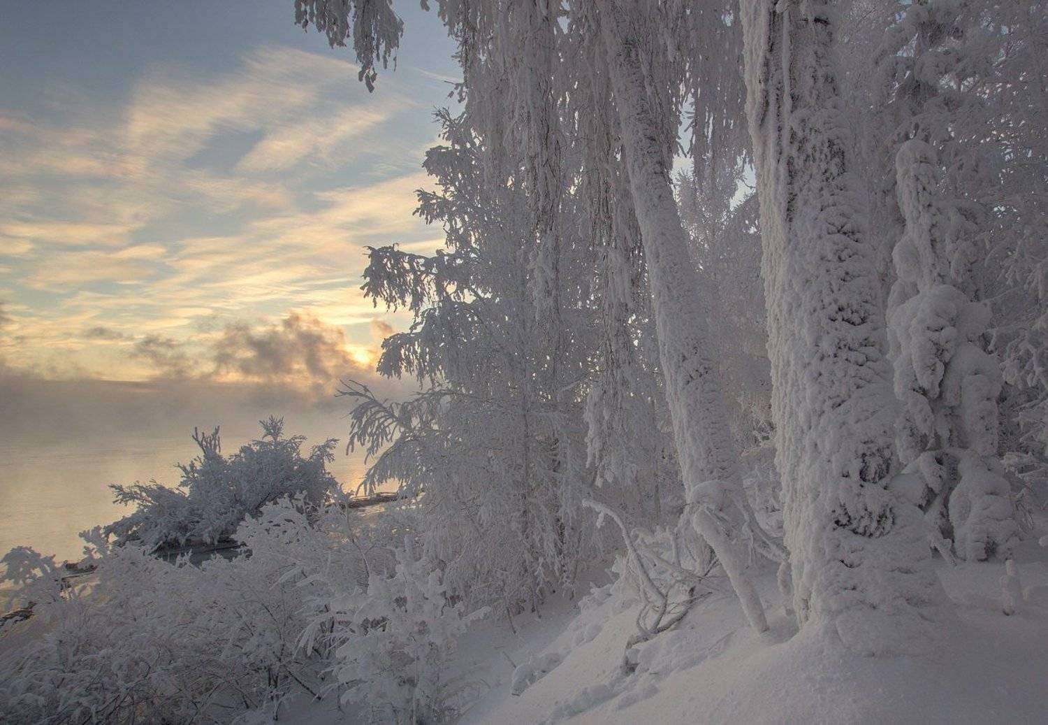 , Алексей Трофимов