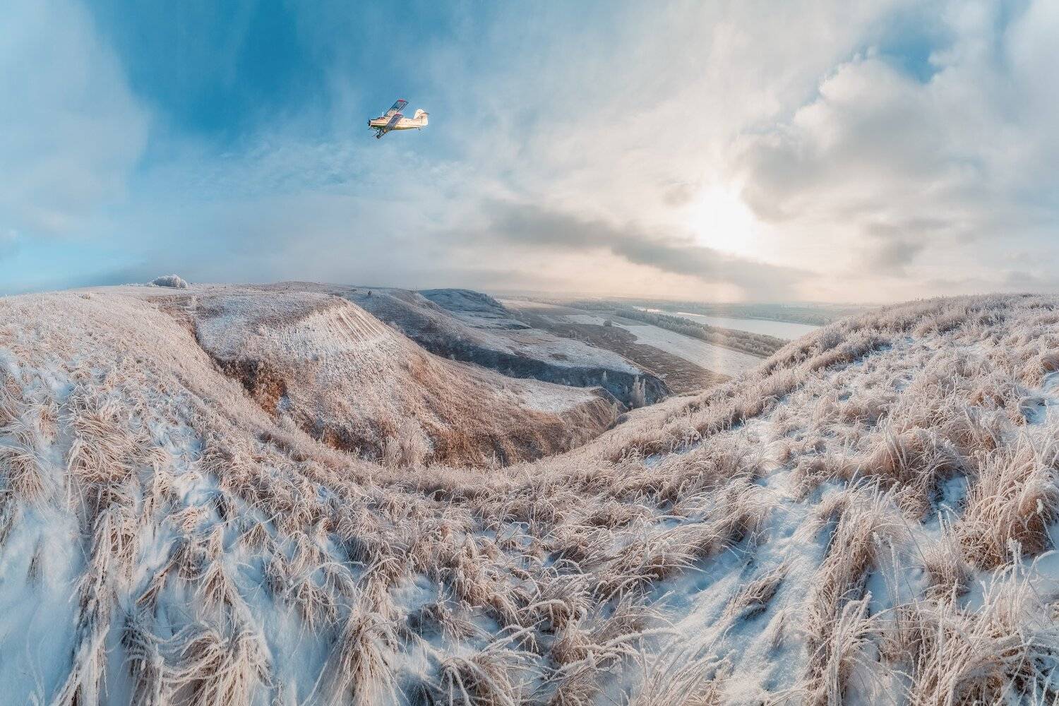 , Алексей Никитин