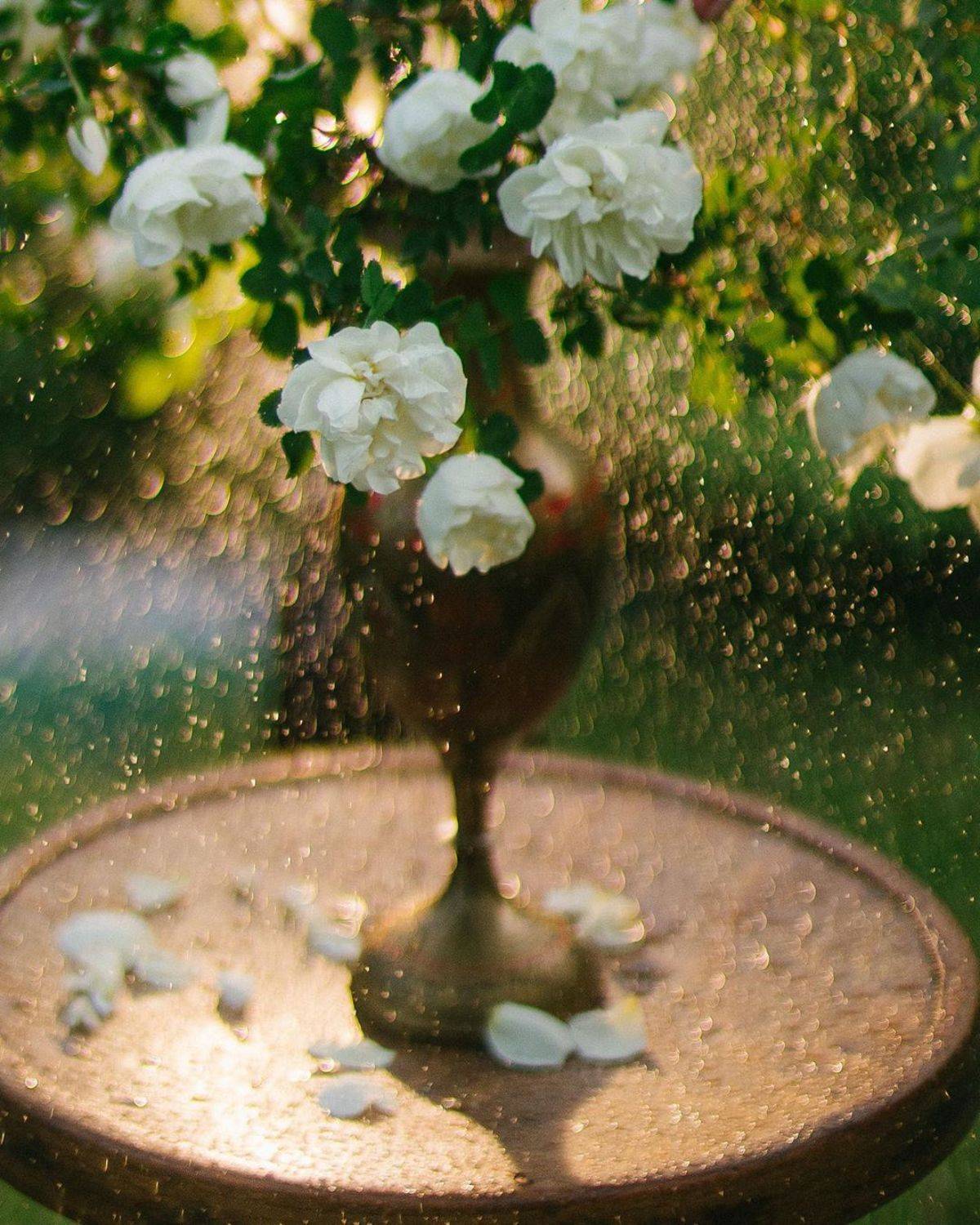 лето, цветы, букет, свет, боке, Анастасия Зубкова