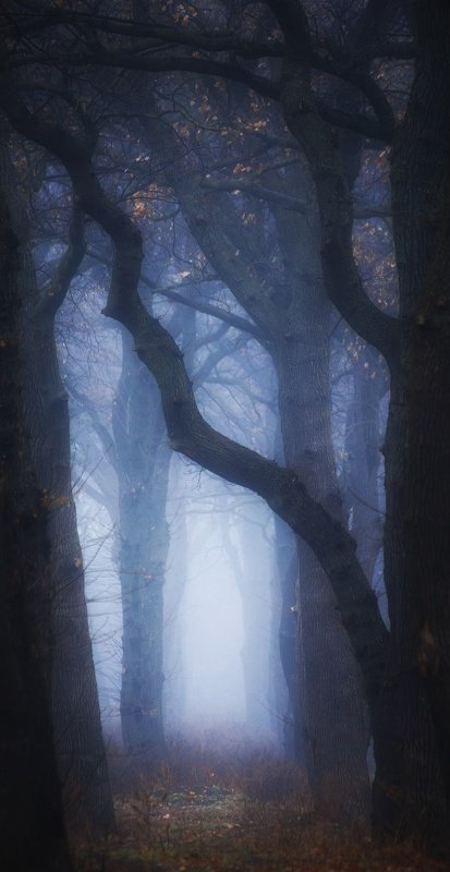 Мгла  фото превью