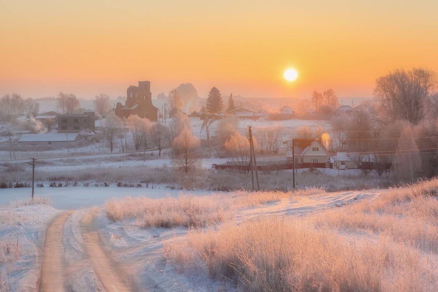 , Алексей Никитин