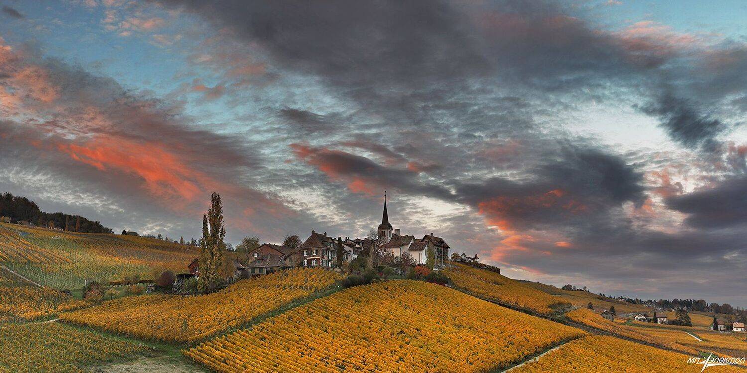 swiss, Матвеев Николай