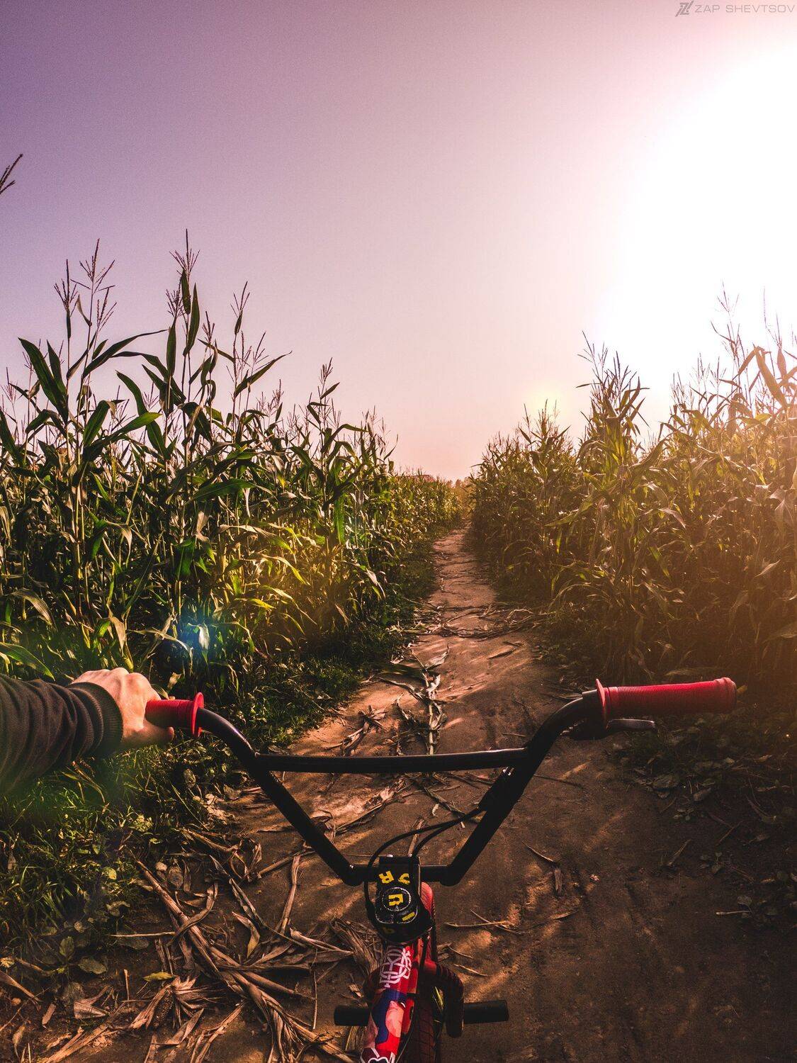 Поле,лес,природа,креативное фото,Профессиональное фото,Сергей Шевцов,Zap Shevtsov, Zapworld,zap-world,интересное,с неба,с дрона,высоко,яркое,цвета,необычное,угол,фото,профессиональная фотография, Sergey Shevtsov