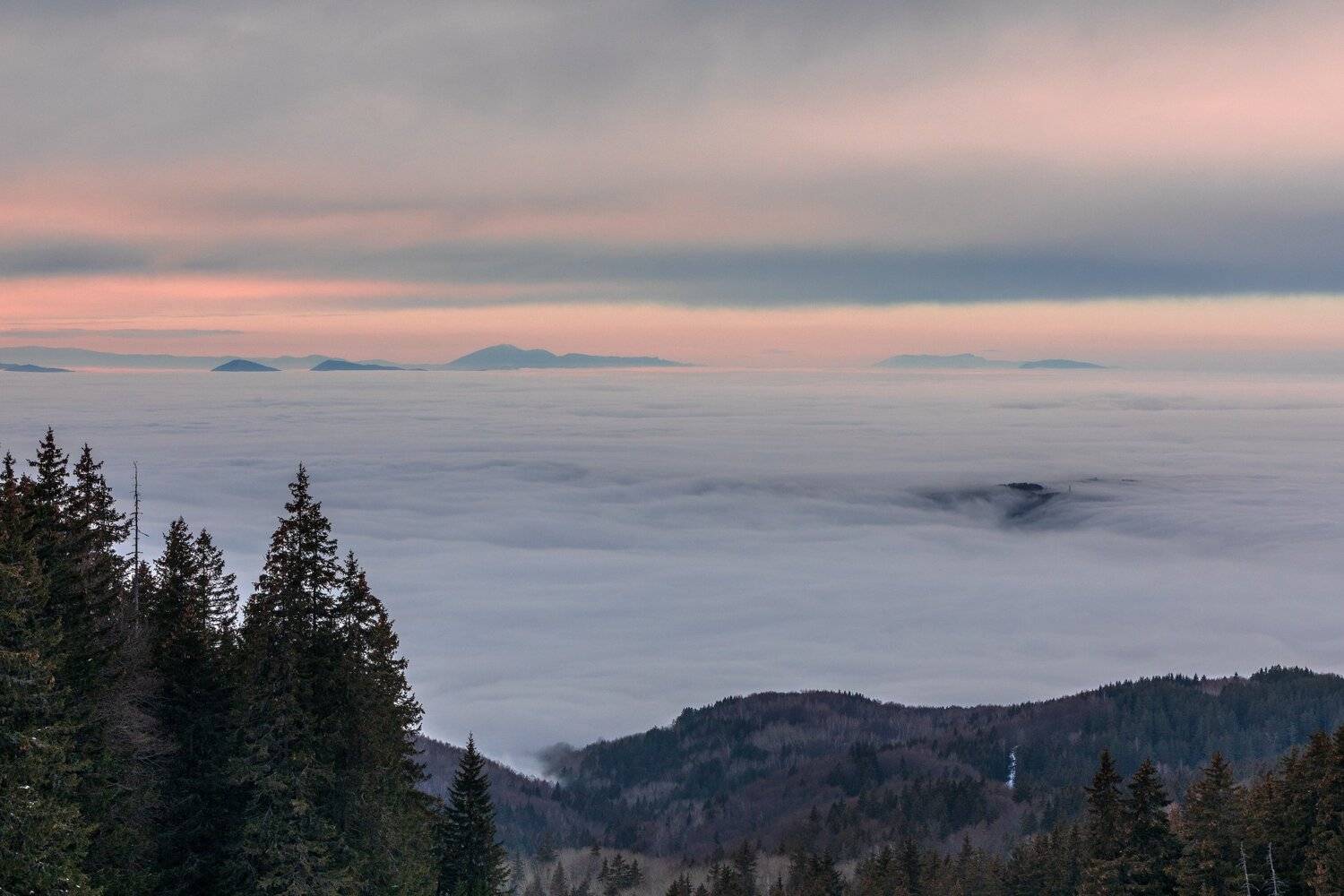 , Александър Сандев