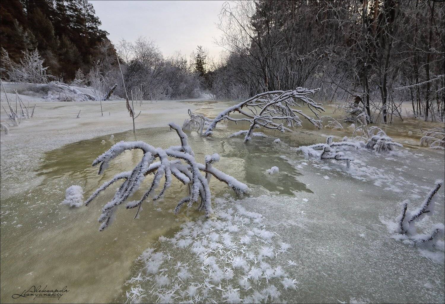забайкальский край, Александр Леснянский