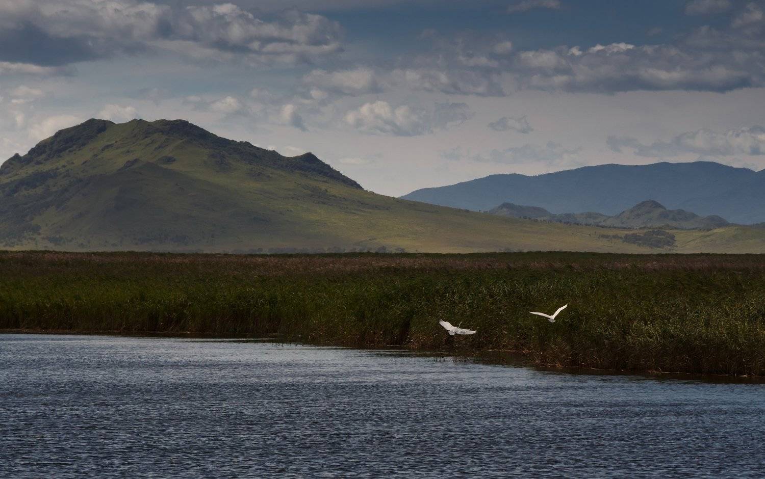 , Тамара Морозова