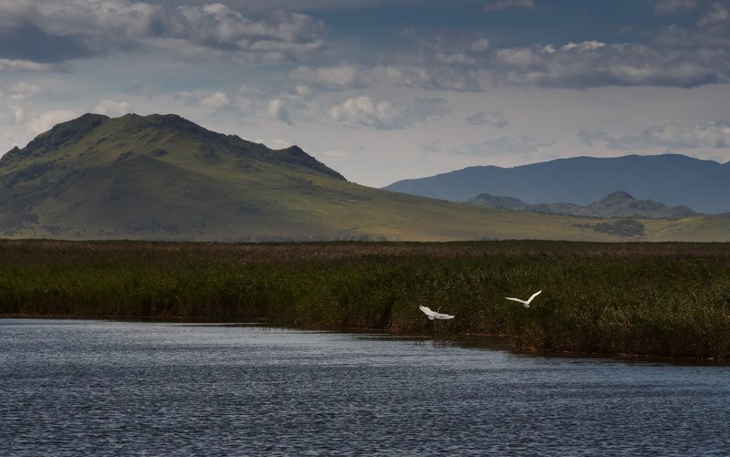 Вдохновение.. фото превью