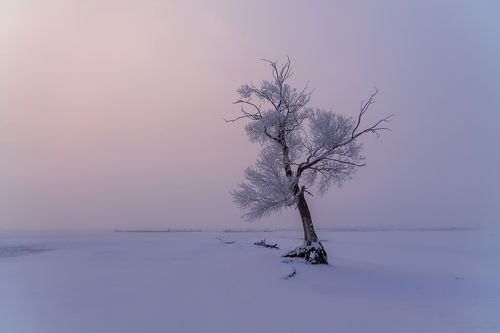 Прелюдия