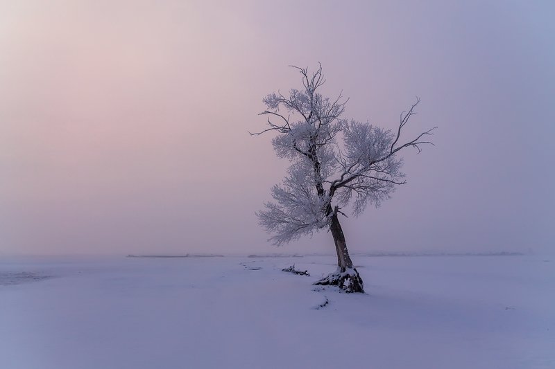 утро, рассвет, восход, туман, лучи Прелюдия фото превью