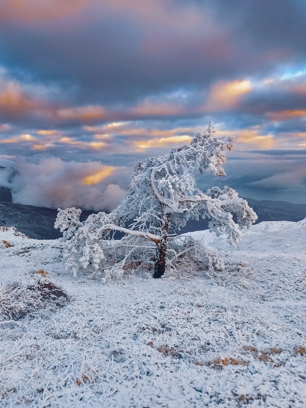 Зимняя сказка на Чатыр-Даге фото превью