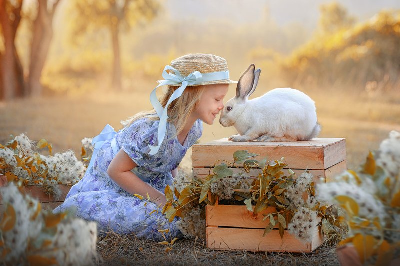 фото превью