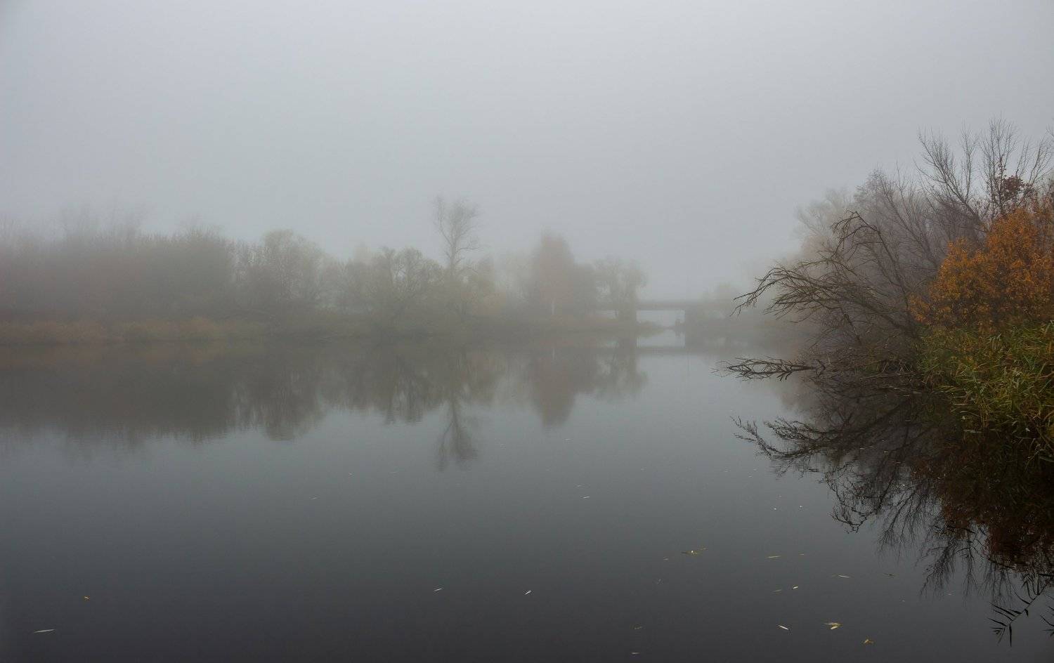 туман, река, природа, осень, озеро, ноябрь, лес, вода, усмань, Руслан Востриков