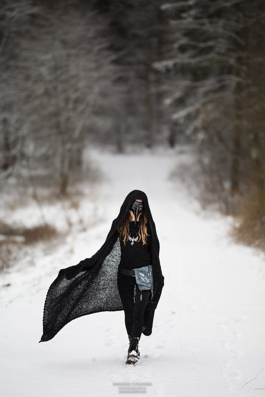 The Raven фото превью
