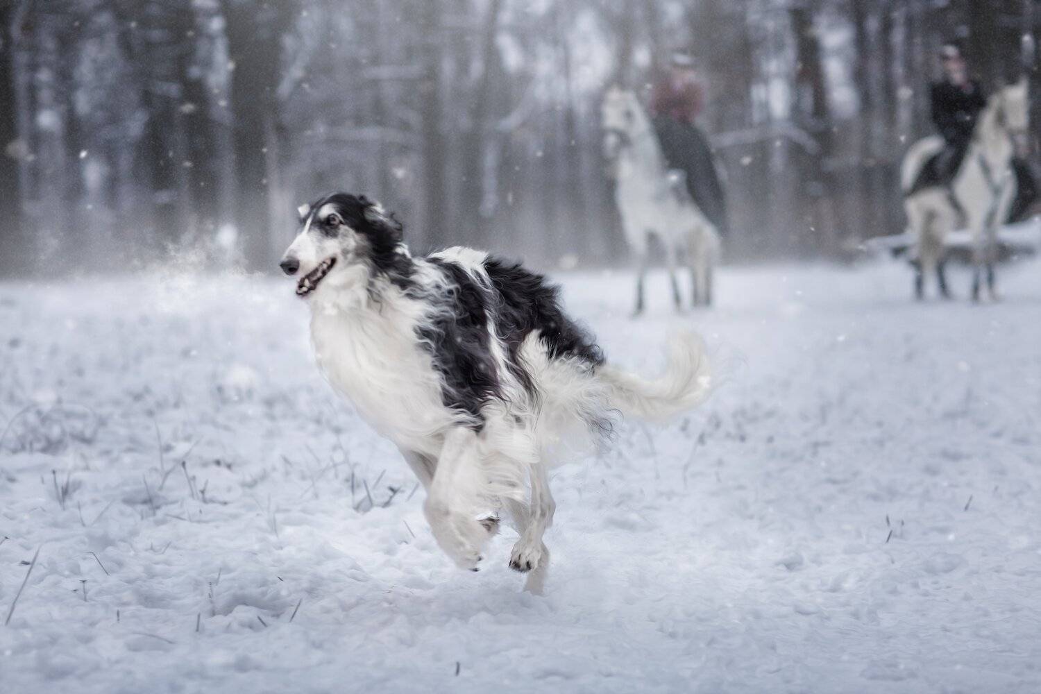 , Юлия Бусыгина