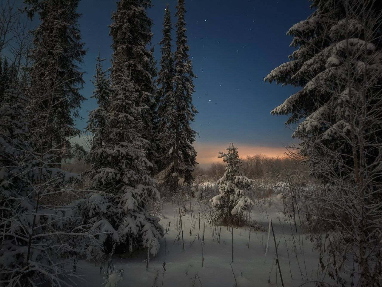 печора,ночь,звезды, Игорь Подобаев