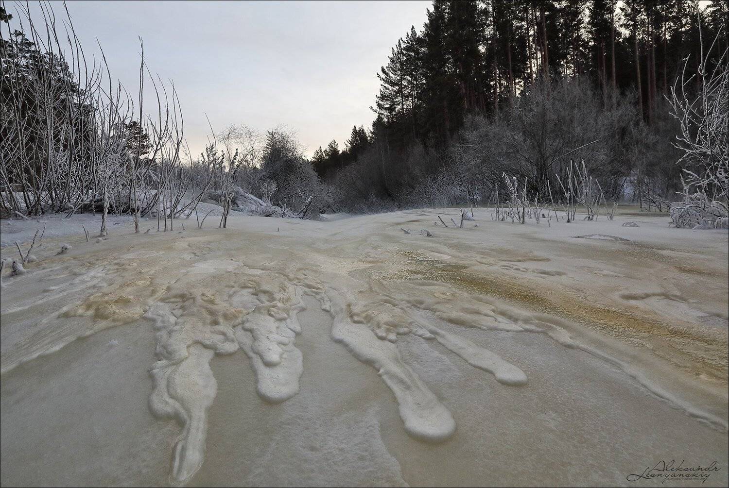 забайкальский край, Александр Леснянский