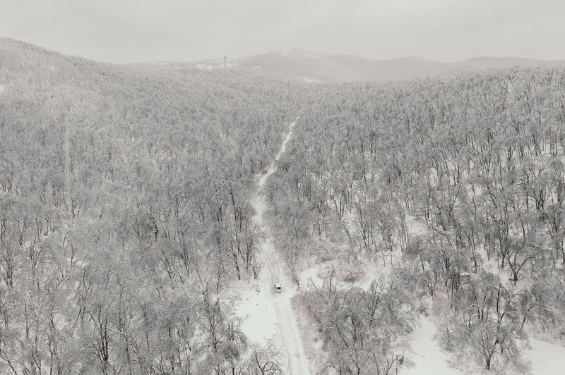 зима, снег, лес, одиночество, автомобиль, авто, приморье, владивосток, природа Тет-а-тет фото превью
