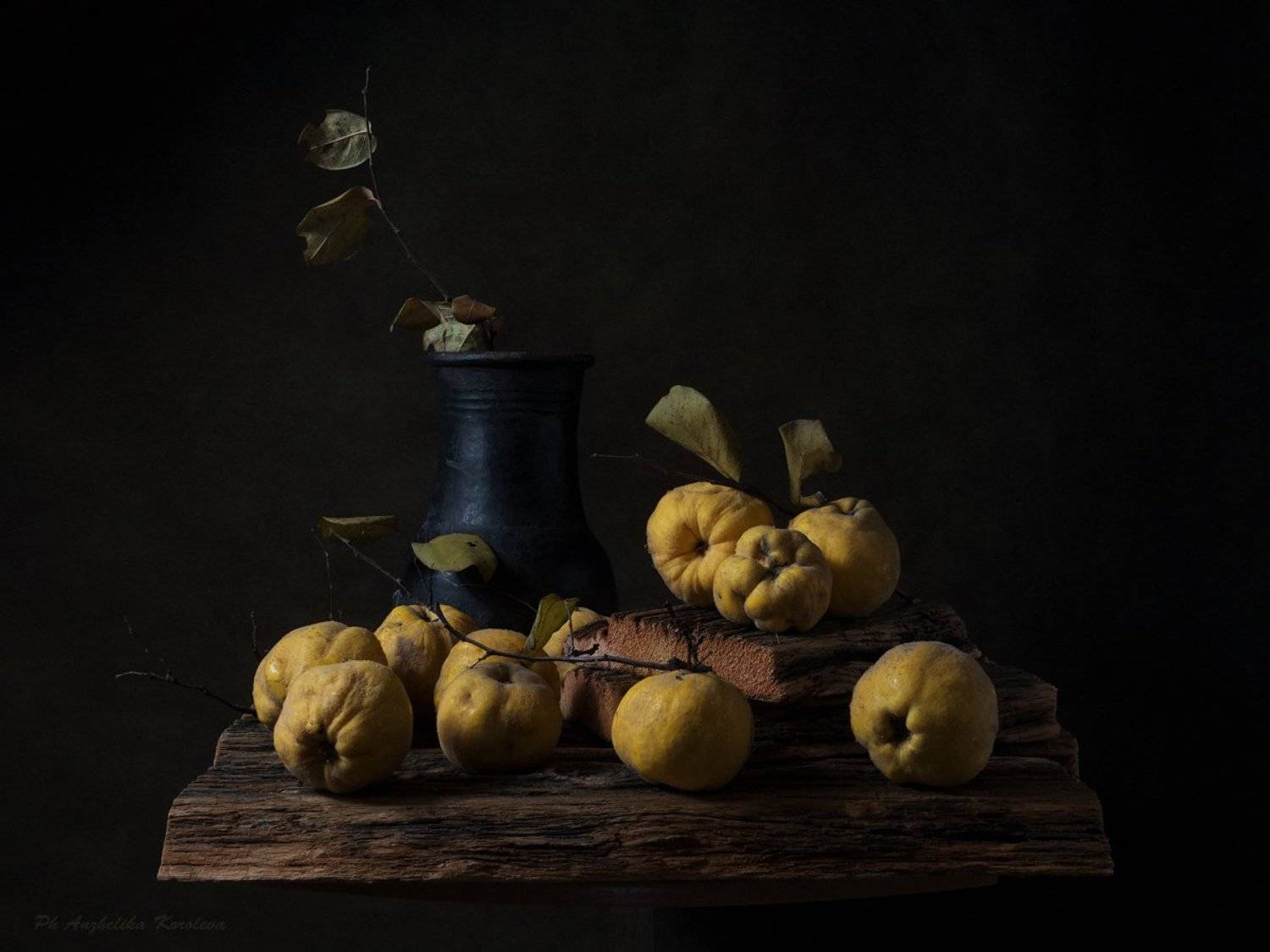 , Анжелика Королева