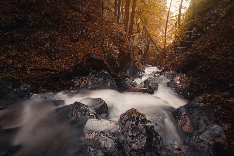 slovenia, nikon, landscape, autumn, water, creek, longexposure Creek Hladnik фото превью