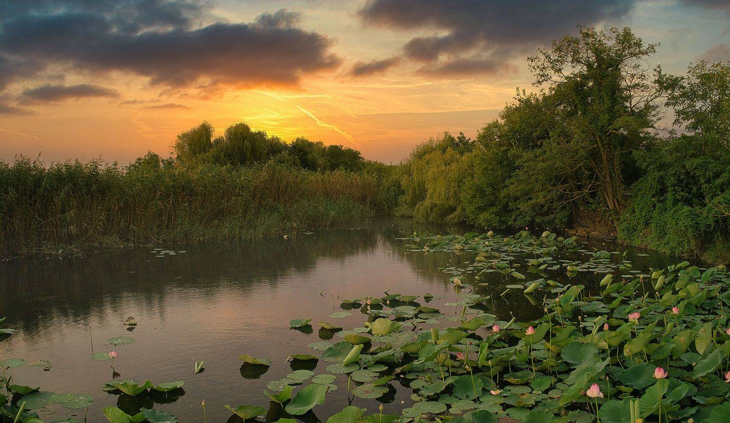 , Александр Костенко