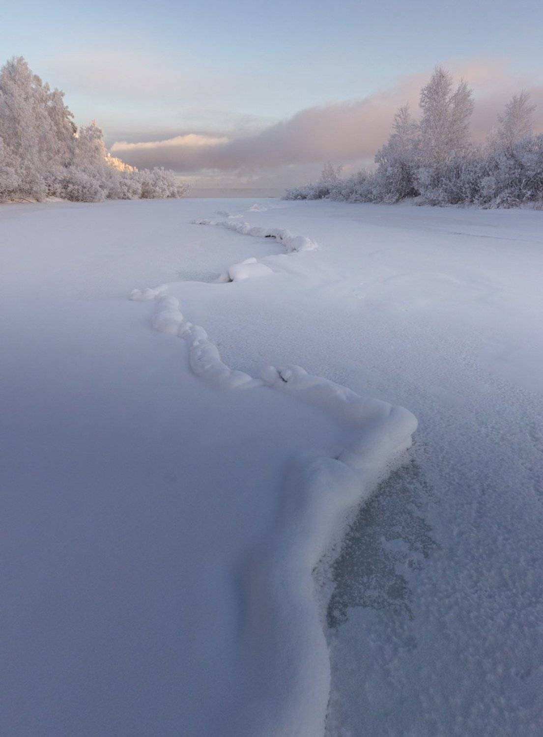 , Алексей Трофимов