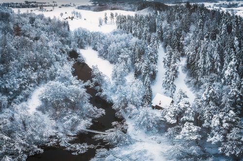 Winter Wonderland