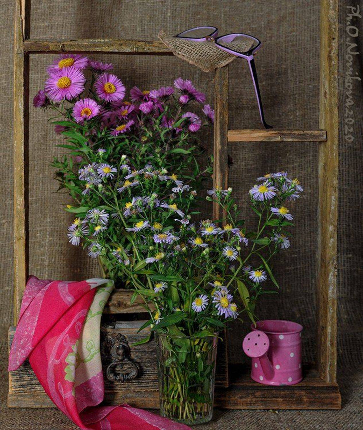 , Ольга Новикова