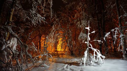 вечер парка. 04. 01. 2021