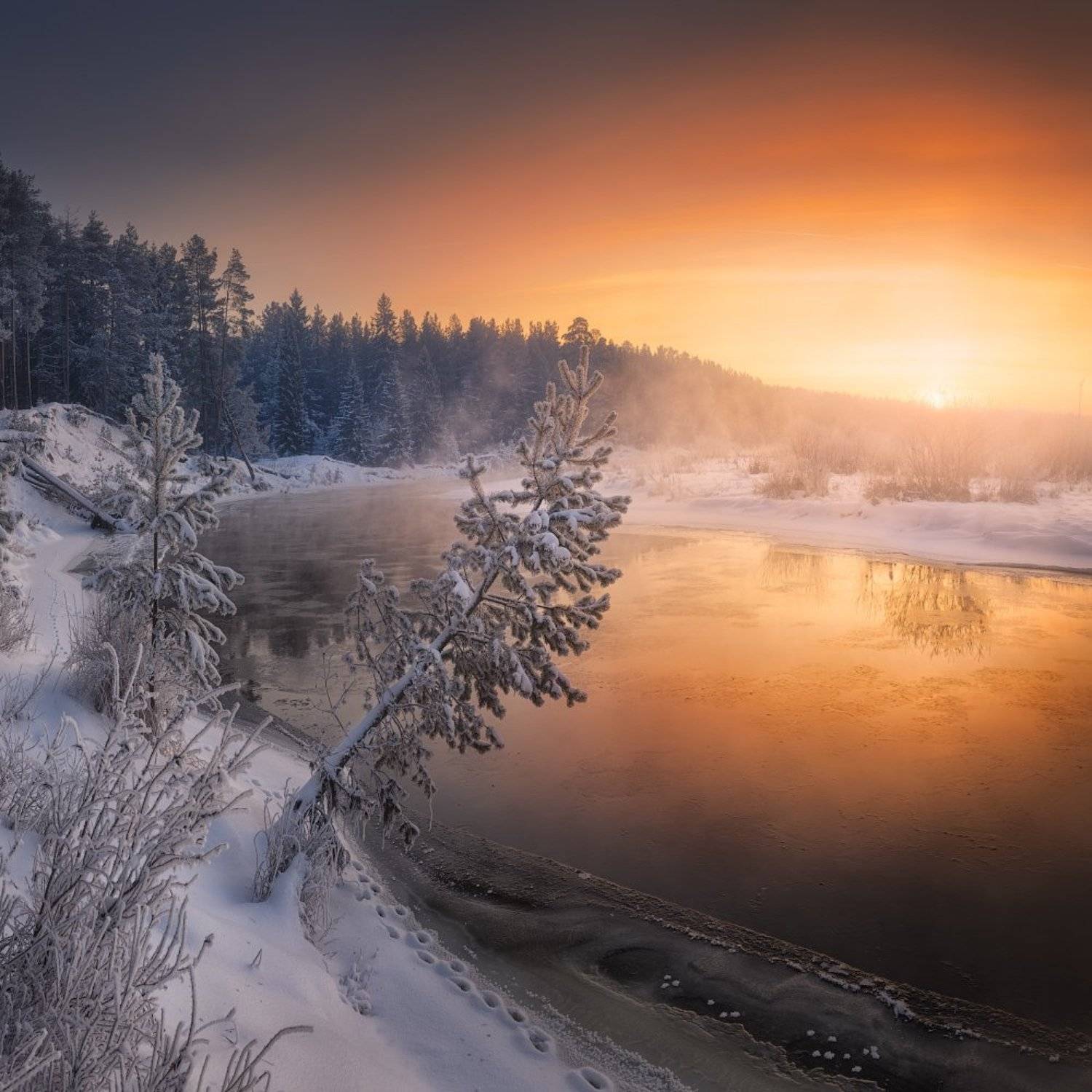 река, зима, иней, Дмитрий Медянцев