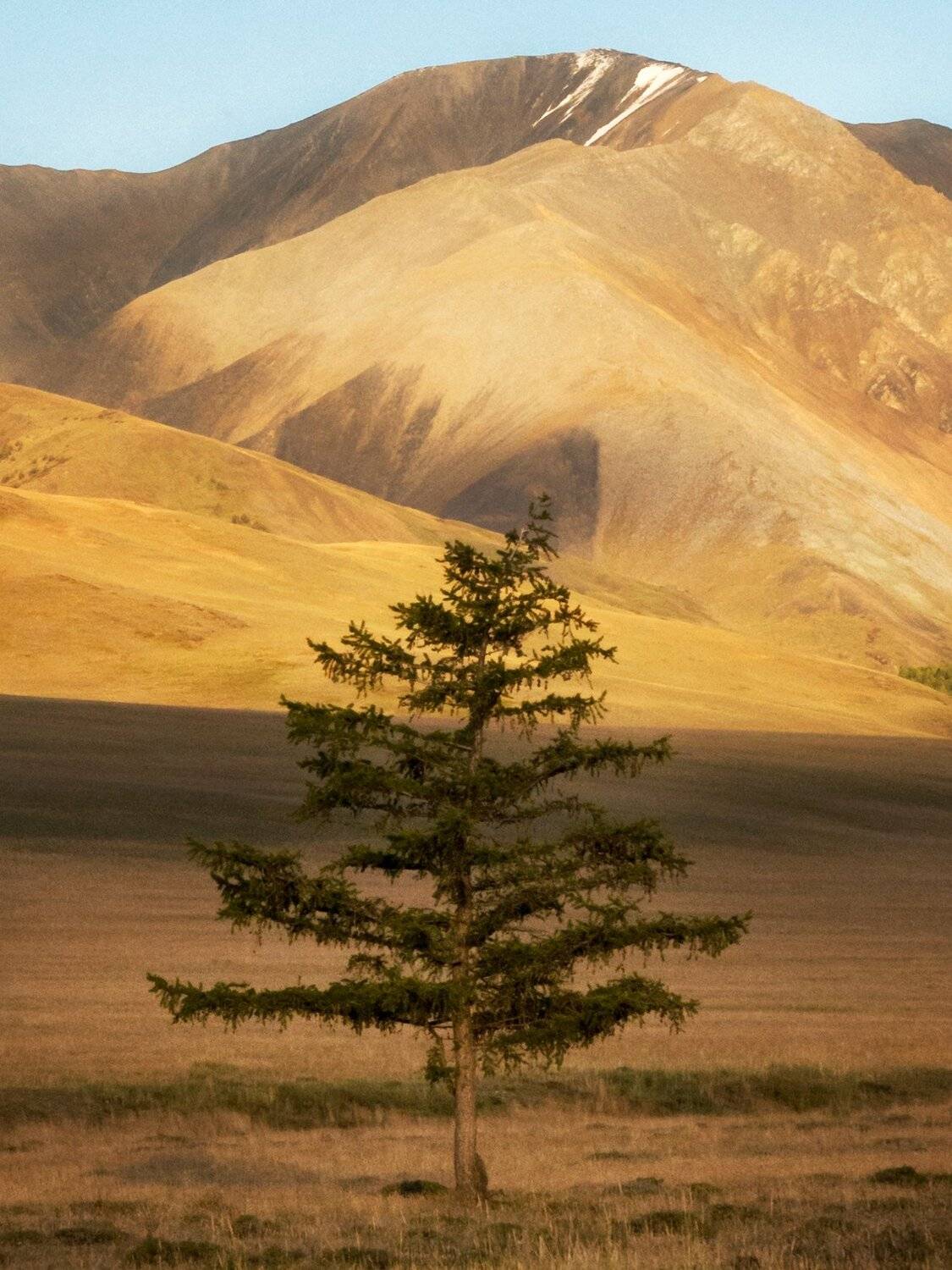 , Ольга Беккер