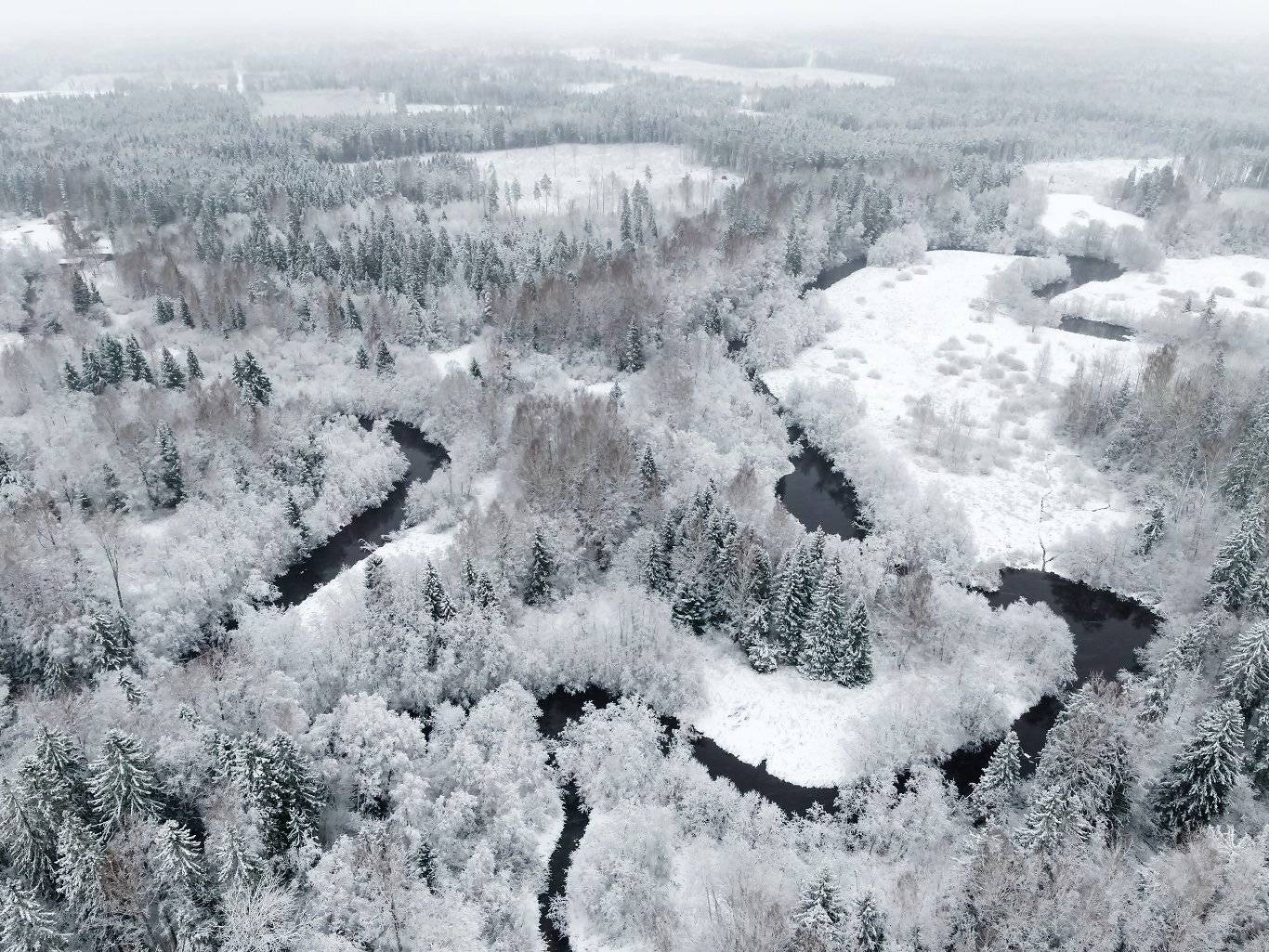 , Александр Абросимов