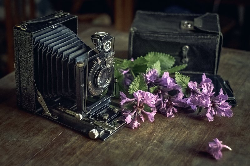... фото превью